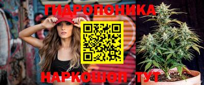 соль ск Моздок