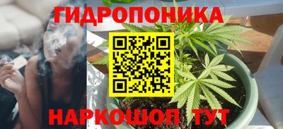 СК Можга